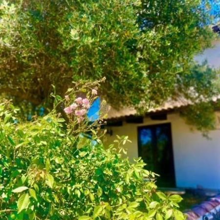 Camera Villa Sarda Aurora Elmas 外观 照片