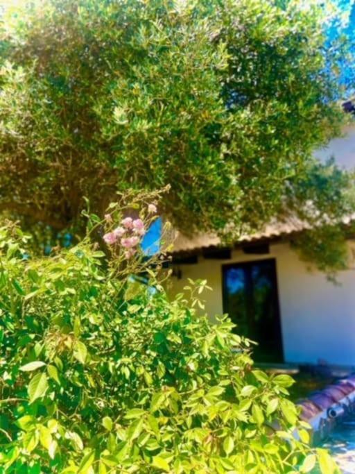 Camera Villa Sarda Aurora Elmas 外观 照片